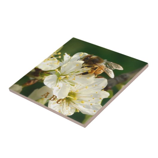 Honey Bee on Plum Blossom Ceramic Tile Fliese (Seite)