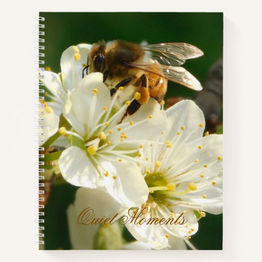 Honey Bee on White Plum Blossom Journal Notizblock (Vorderseite)