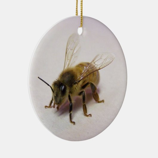 Honey Bee Ornament (Rechts)
