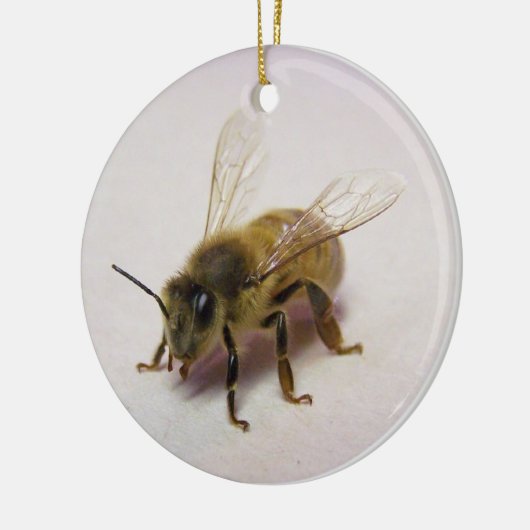 Honey Bee Ornament (Links)