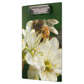 Honey Bee Plum Blossom Nature Study Clipboard Klemmbrett (Links)