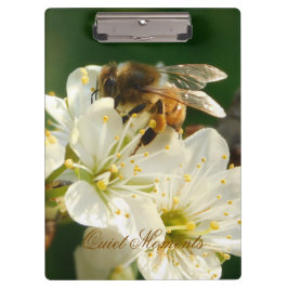 Honey Bee Plum Blossom Nature Study Clipboard Klemmbrett