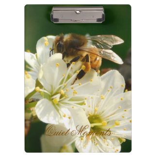 Honey Bee Plum Blossom Nature Study Clipboard Klemmbrett
