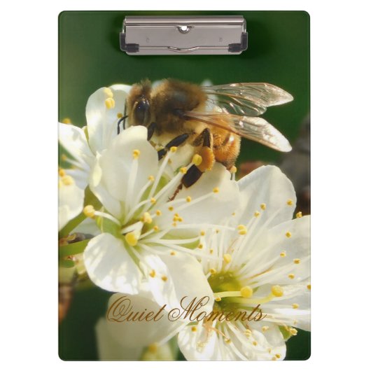 Honey Bee Plum Blossom Nature Study Clipboard Klemmbrett (Vorderseite)