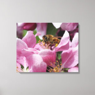 Honey Bee Pollinating Pink Crabapple Tree Blossom Leinwanddruck
