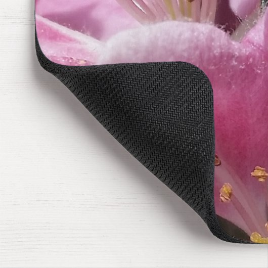 Honey Bee Pollinating Pink Crabapple Tree Blossom Mousepad (Ecke)