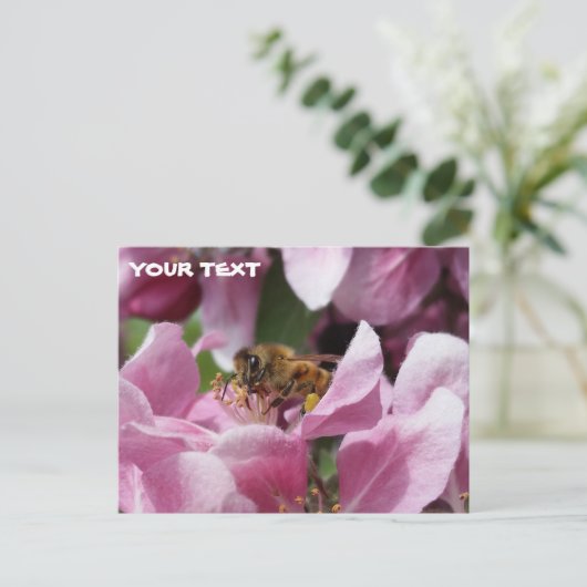 Honey Bee Pollinating Pink Crabapple Tree Blossom Postkarte (Stehend Vorderseite)