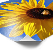 Honey Bee Pollinating Wild Sunflower Fotodruck (Ecke)