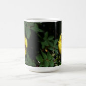 Honey Bee Pollinating Yellow Rose Kaffeetasse (Mittel)