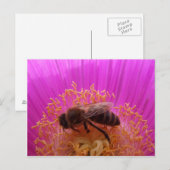 Honey Bee Postcard Postkarte (Vorne/Hinten)