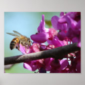 Honey Bee Poster (Vorne)
