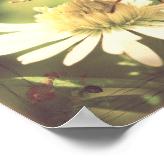 Honey Bee Poster (Ecke)