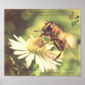 Honey Bee Poster (Vorne)