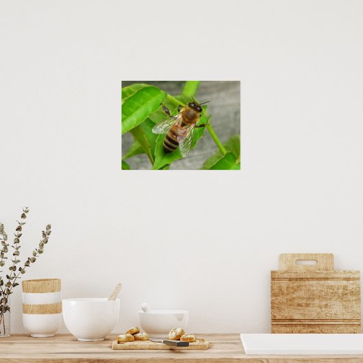 Honey Bee Poster (Küche)