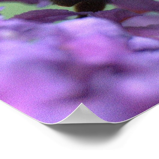 Honey Bee poster (Ecke)