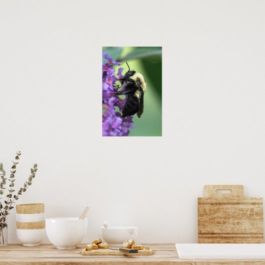 Honey Bee poster (Küche)