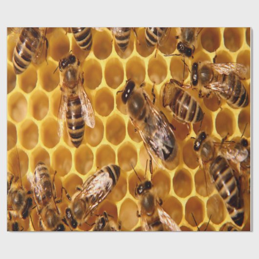 Honey Bee Print Geschenkpapier (Flach)