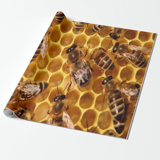 Honey Bee Print Geschenkpapier (Ungerollt)