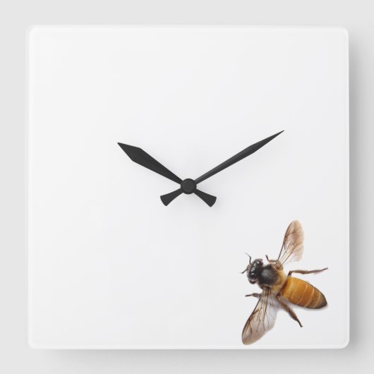 Honey Bee Quadratische Wanduhr (Vorderseite)
