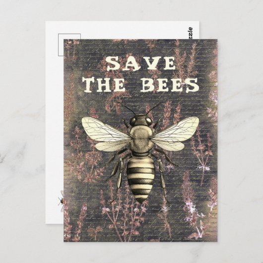 Honey Bee Rettete das Bienen-Script Monochrome Postkarte (Vorne/Hinten)
