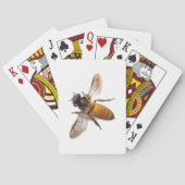 Honey Bee Spielkarten (Rückseite)