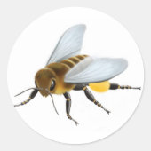 Honey Bee Sticker (Vorderseite)