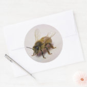 Honey Bee Sticker (Umschlag)
