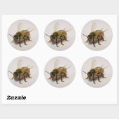 Honey Bee Sticker (Blatt)