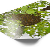 Honey Bee Swarm Fotodruck (Ecke)