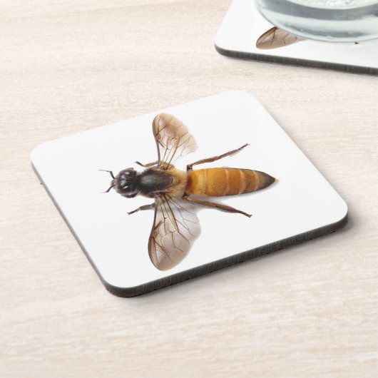 Honey Bee Untersetzer (Linke Seite)