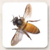 Honey Bee Untersetzer (Vorderseite)