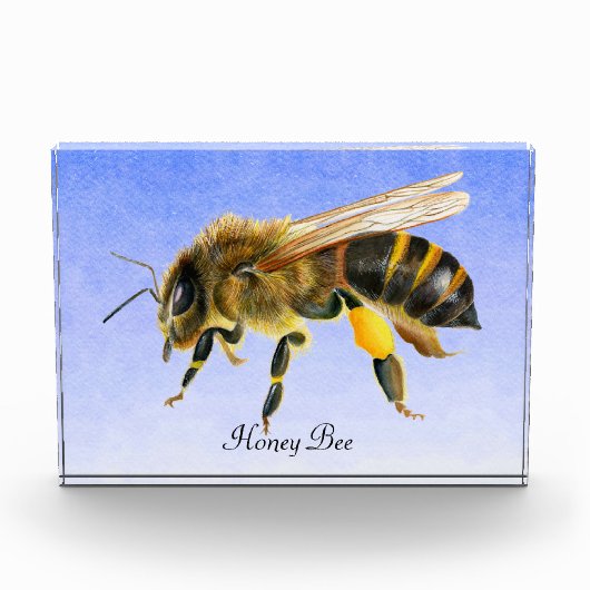 Honey Bee Watercolor Foto Block (Vorderseite)