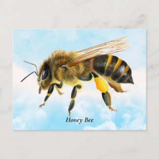 Honey Bee Watercolor Malerei Postkarte