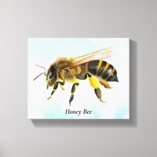 Honey Bee Watercolor Stretched Canvas Print Leinwanddruck (Vorderseite)
