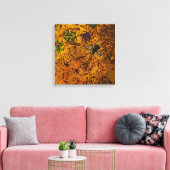 Honey Bee Wrapped Canvas Print Leinwanddruck (Insitu (Wohnzimmer))