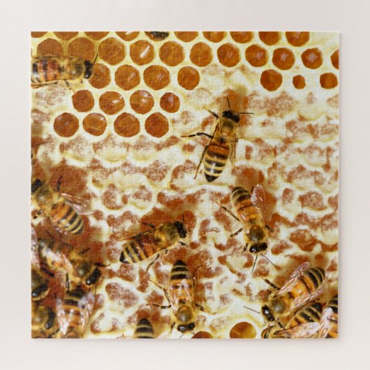 HONEY BEES 2 PUZZLE (Horizontal)