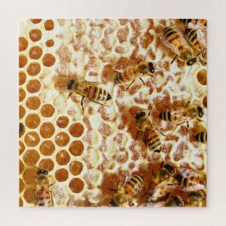 HONEY BEES 2 PUZZLE