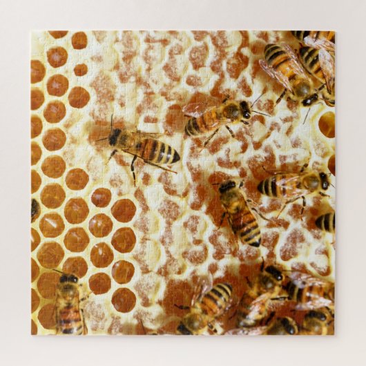 HONEY BEES 2 PUZZLE (Vertikal)