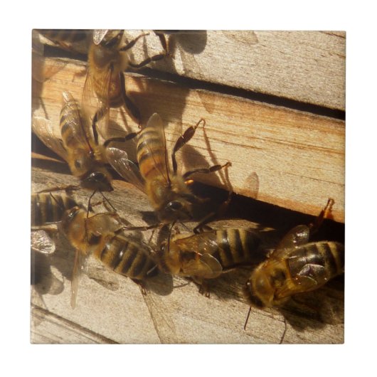 Honey Bees Fliese (Vorderseite)