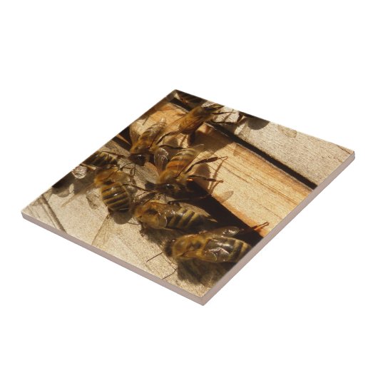 Honey Bees Fliese (Seite)