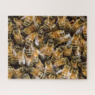 Honey Bees Foto Puzzle