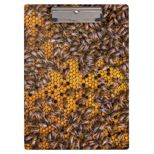 HONEY BEES KLEMMBRETT (Vorderseite)