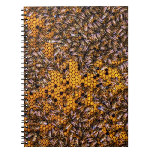 HONEY BEES NOTIZBLOCK (Vorderseite)