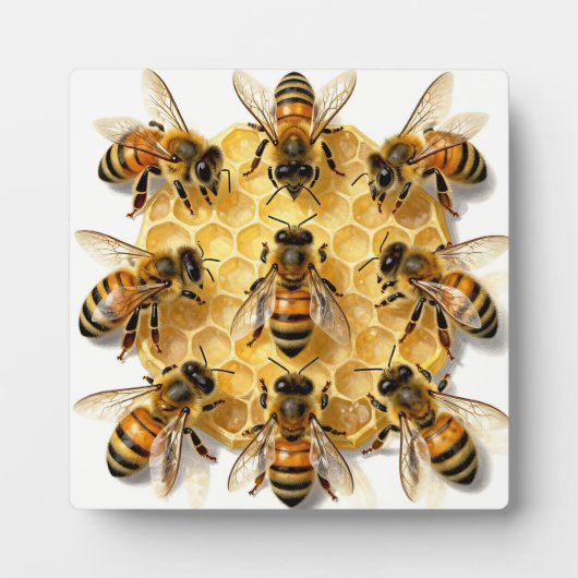 Honey Bees on Hexagonal Honeycomb Circle Fotoplatte (Vorderseite)
