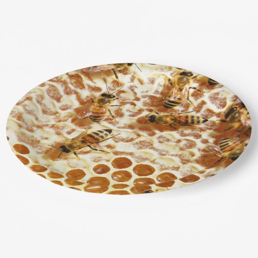 HONEY BEES PAPPTELLER (Schrägansicht)