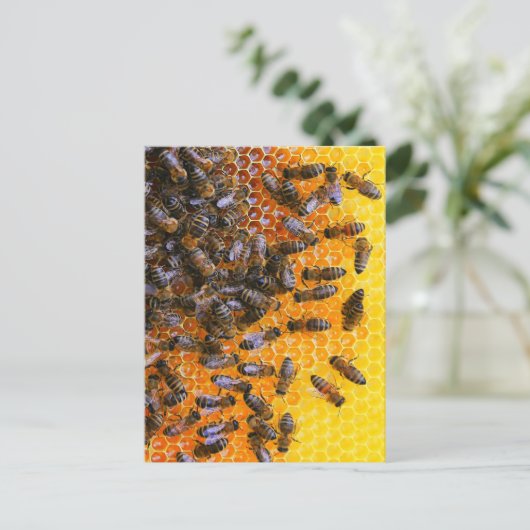 HONEY BEES POSTKARTE (Stehend Vorderseite)