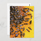 HONEY BEES POSTKARTE (Vorne/Hinten)