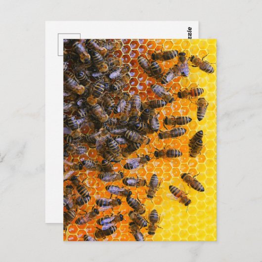HONEY BEES POSTKARTE (Vorne/Hinten)