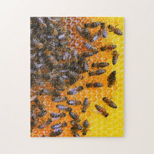 HONEY BEES PUZZLE