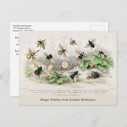Honey Bees Vintag Holiday Postcard Postkarte (Vorne/Hinten)